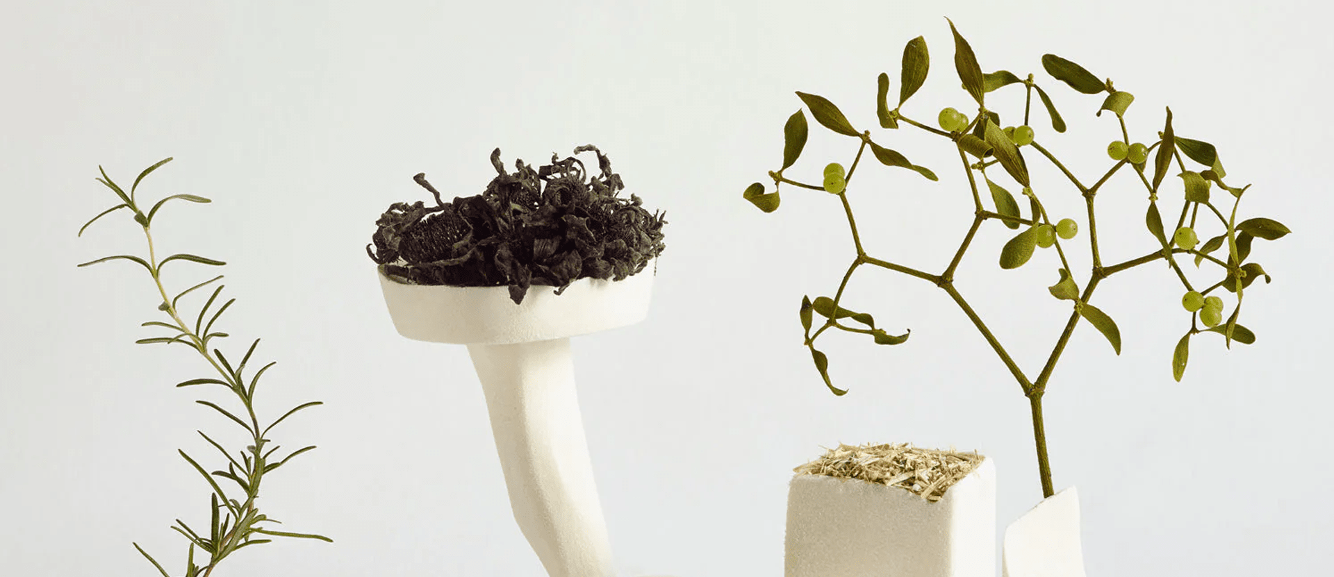 5 Waste-Free Holiday Ideas