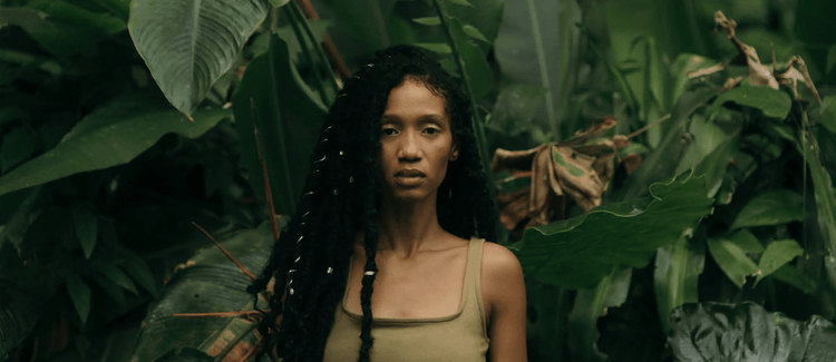 Making vetiver fair for all