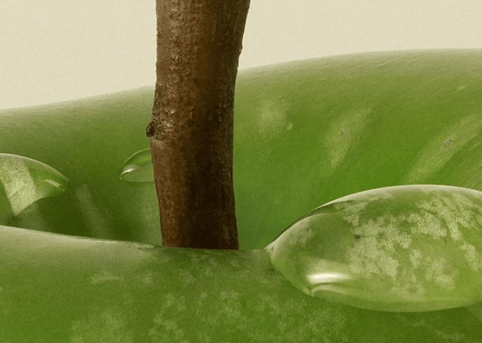 The Surprising Truth About How to Eat Well