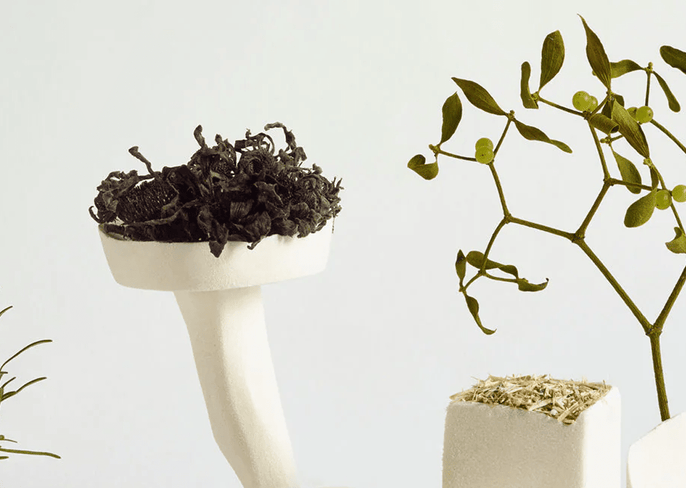 5 Waste-Free Holiday Ideas