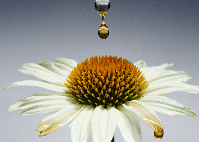How to boost your immune system naturally