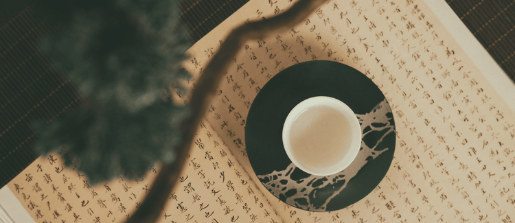 Immunity according to Traditional Chinese Medicine