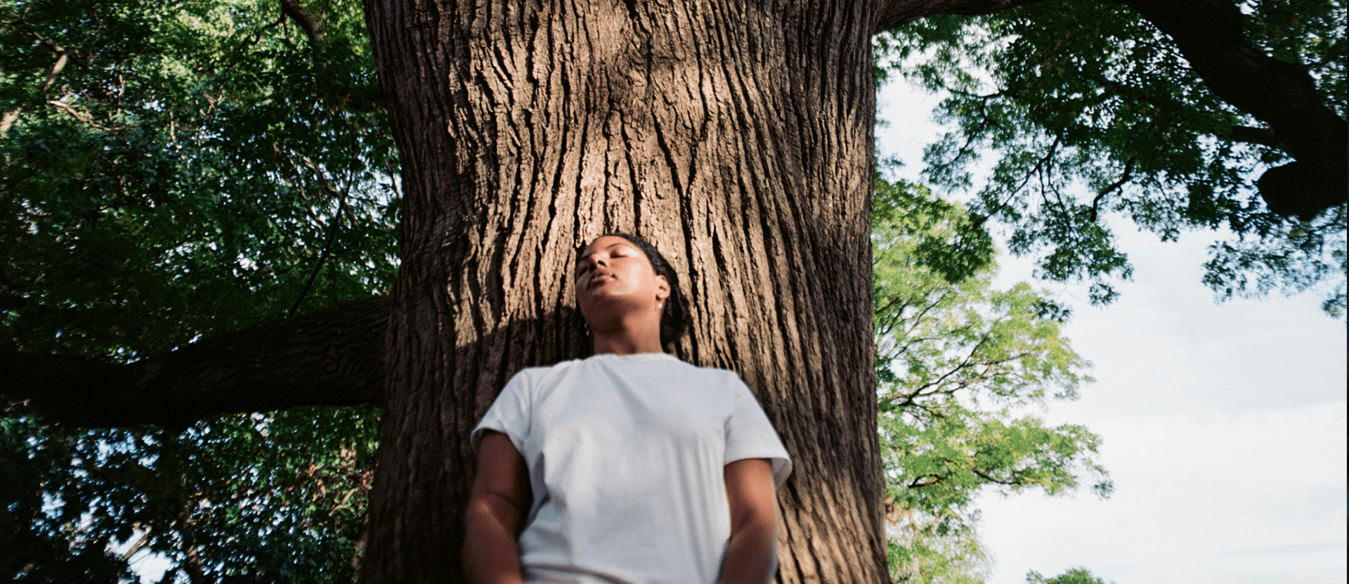 2 https://thenueco.com/cdn/shop/articles/the-science-behind-the-calming-effect-of-forests-437524.png?v=1758709750