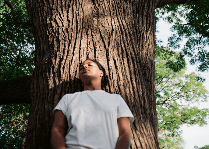 The science behind the calming effect of forests