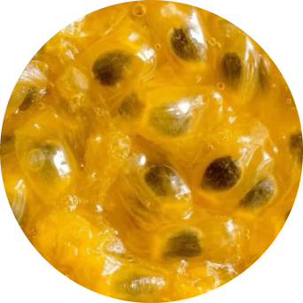 Passionfruit