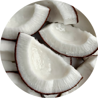 Coconut