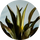 Smoky Mezcal