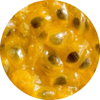 Passionfruit