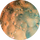 Musk
