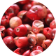 Pepper