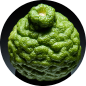 Bergamot
